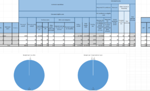 Consortium Budgeting